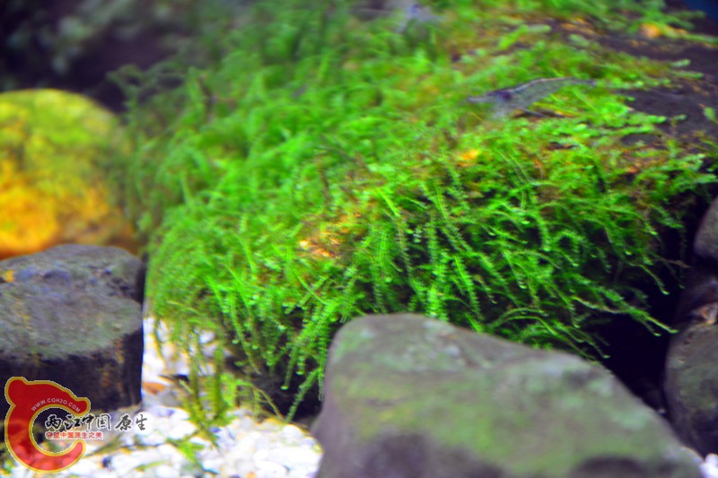 DSC_1645.JPG