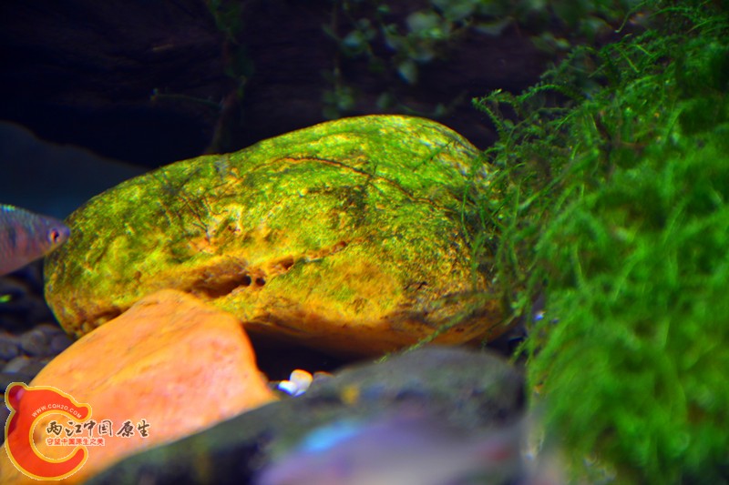 DSC_1647.JPG