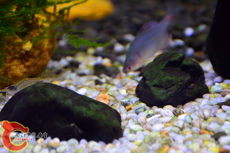 DSC_1651.JPG