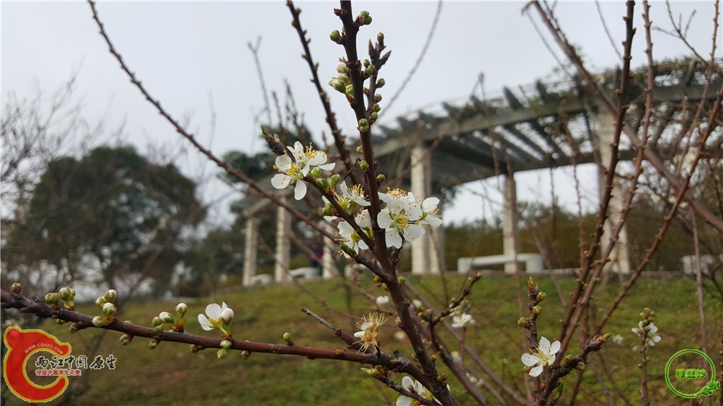 20160212_091722.jpg