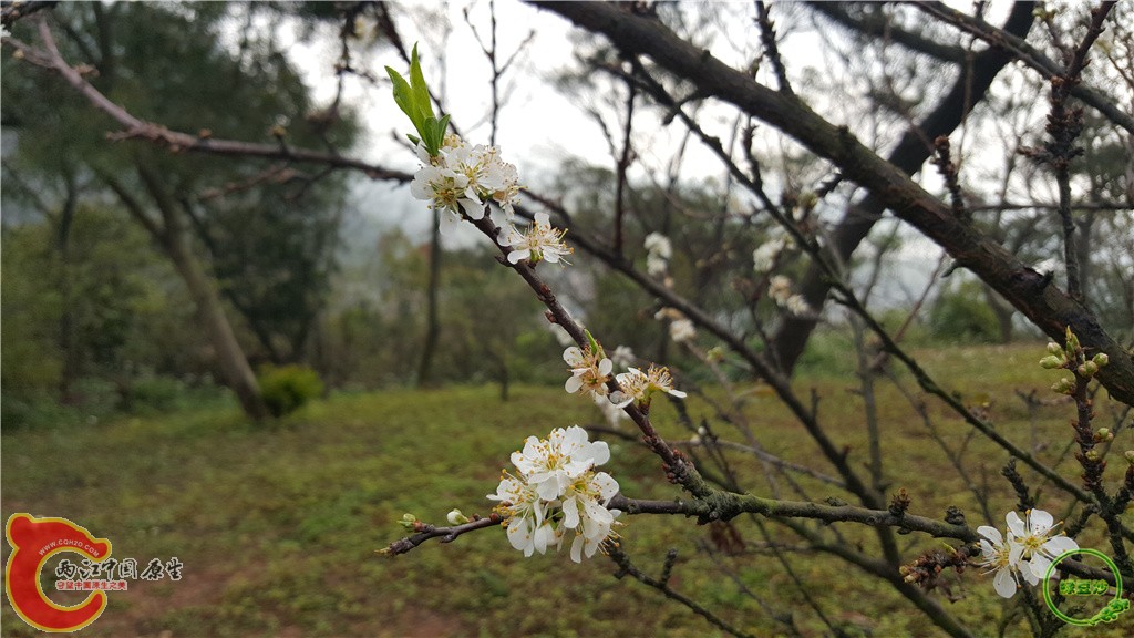 20160212_091939.jpg