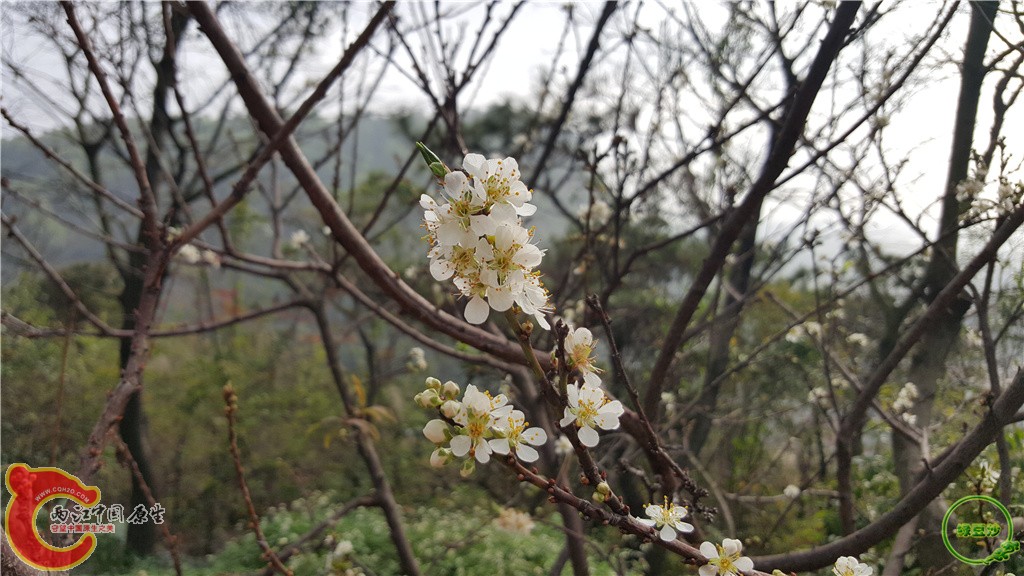 20160212_092119.jpg