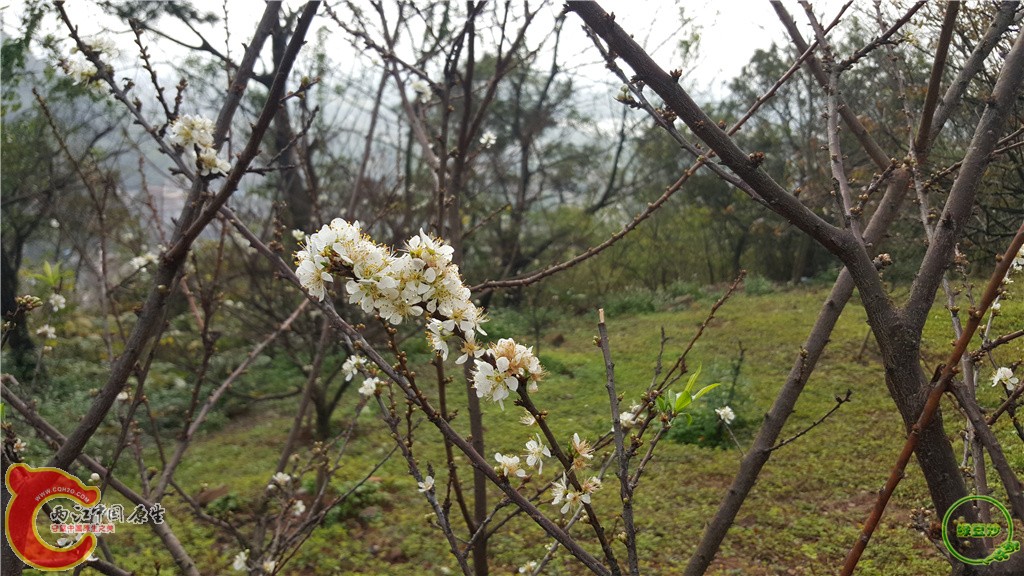 20160212_092153.jpg