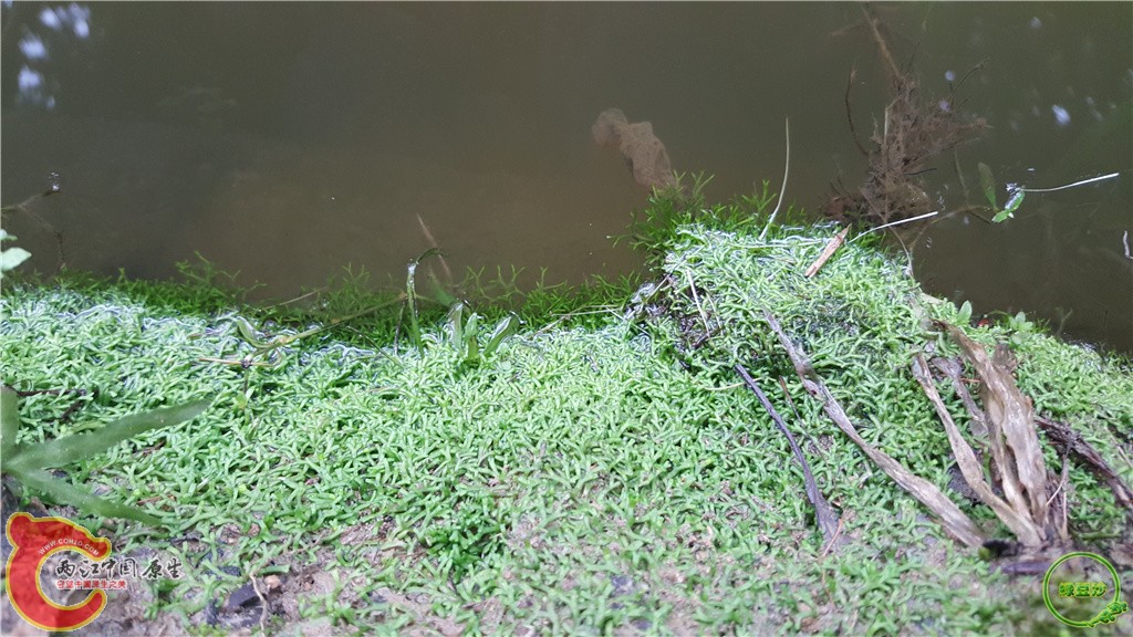 20160222_114020.jpg
