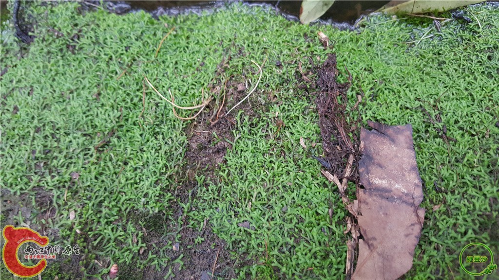 20160222_114212.jpg