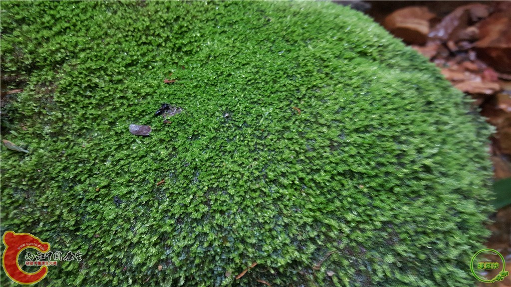 20160222_133126.jpg