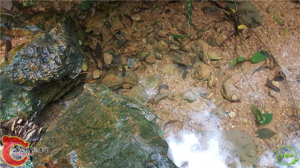20160222_133634.jpg