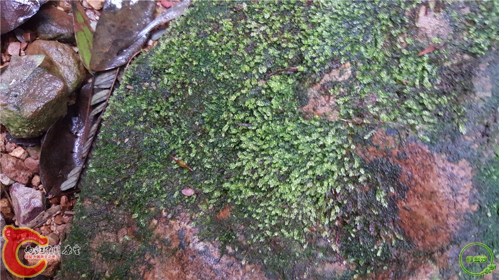 20160222_133753.jpg