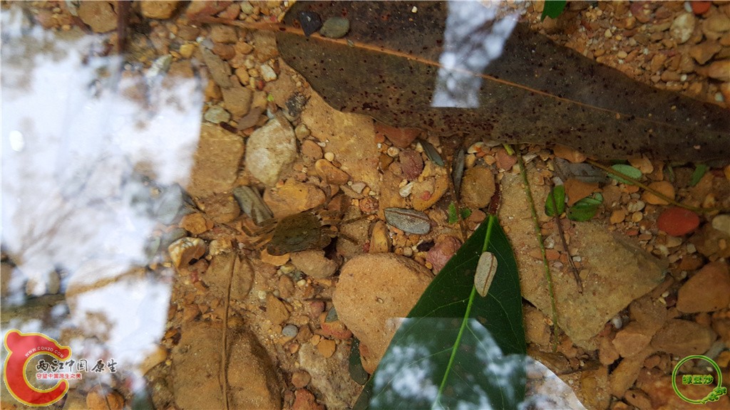 20160222_134722.jpg