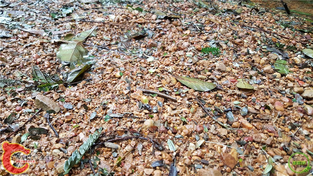 20160222_134835.jpg
