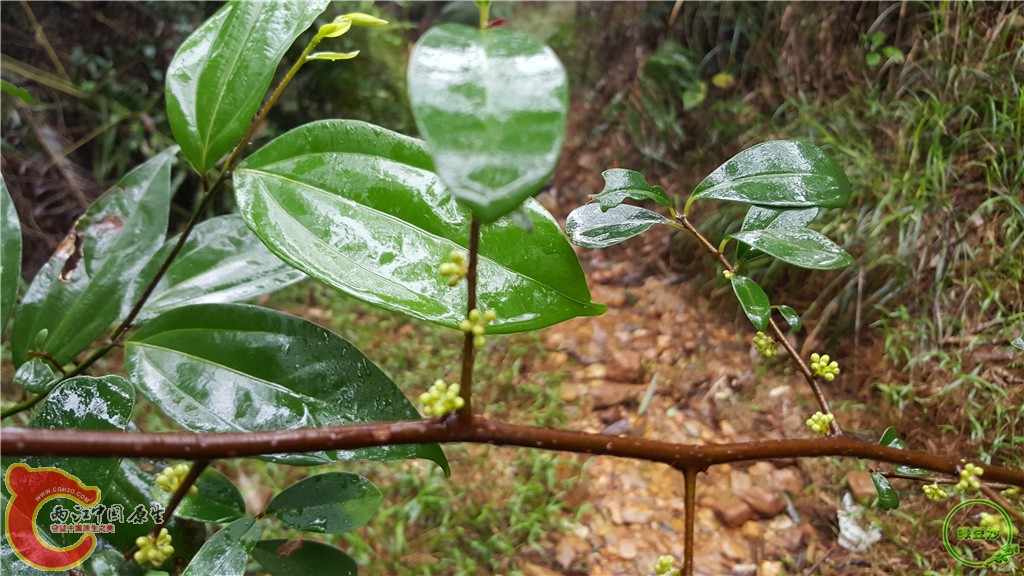 20160222_134958.jpg