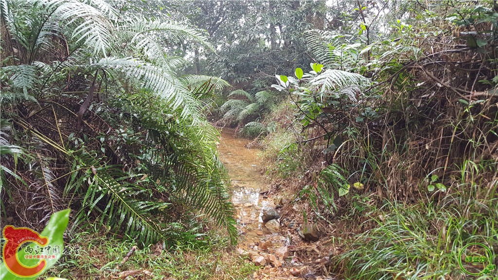 20160222_135052.jpg
