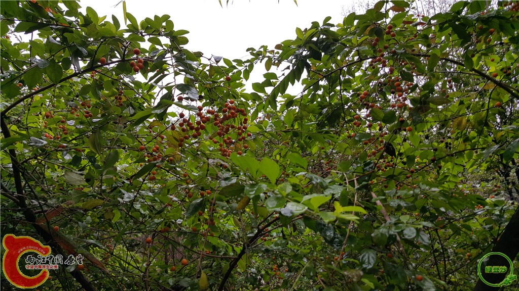 20160222_153731.jpg