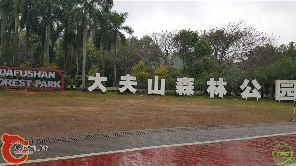 20160222_155341.jpg