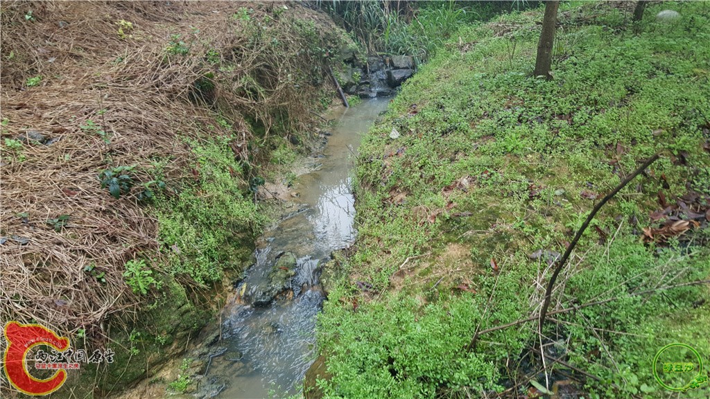 20160313_130938.jpg