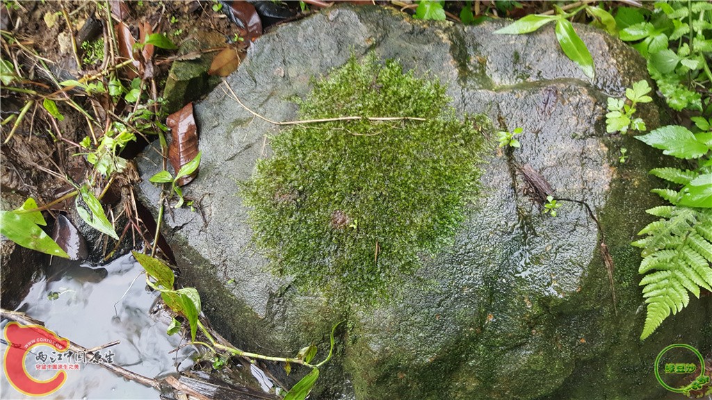 20160313_131547.jpg