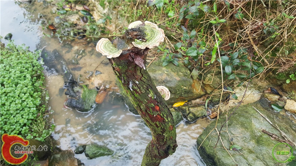 20160313_131643.jpg