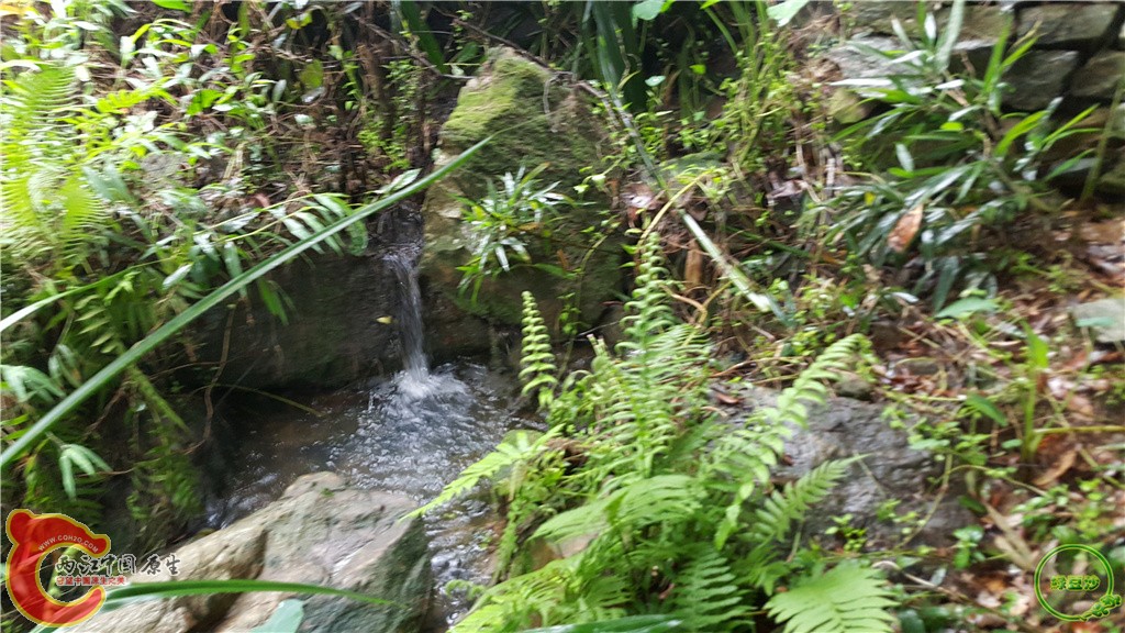 20160313_133624.jpg