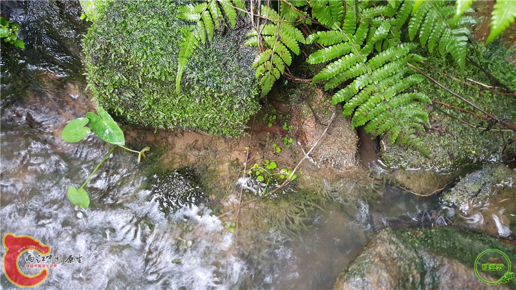 20160313_133701.jpg