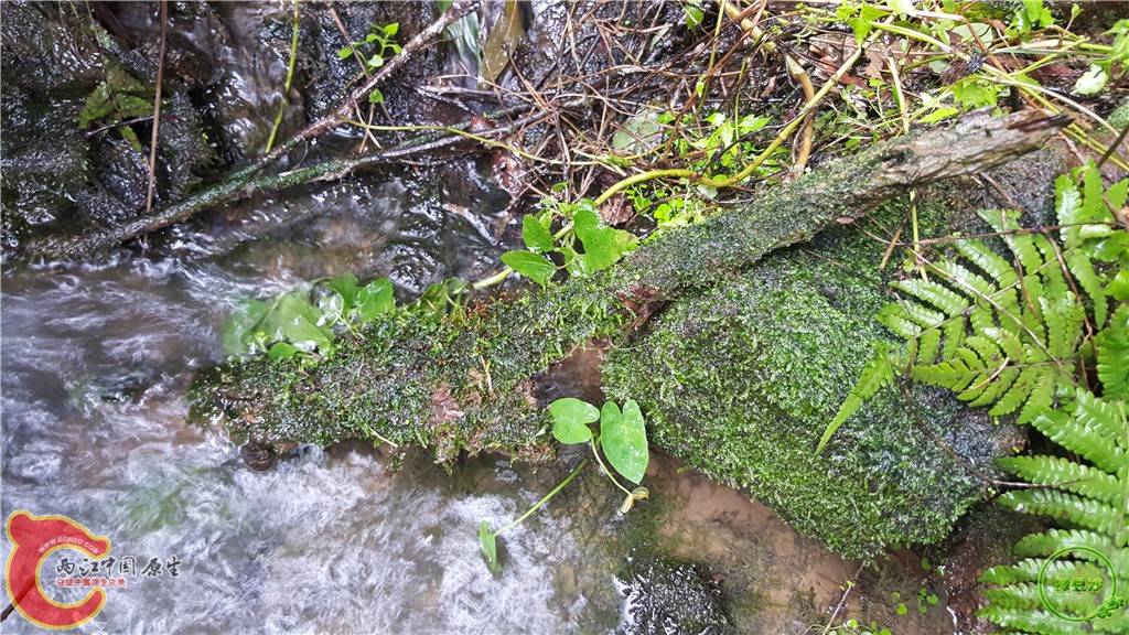 20160313_133939.jpg