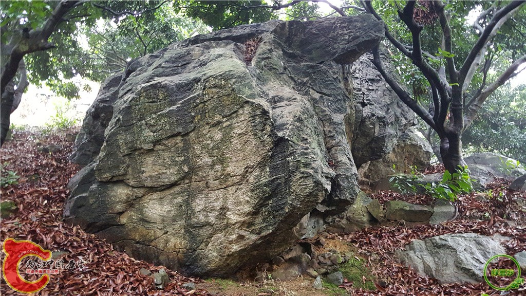 20160313_134219.jpg