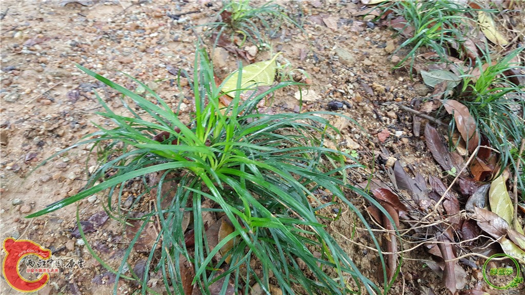20160313_134310.jpg