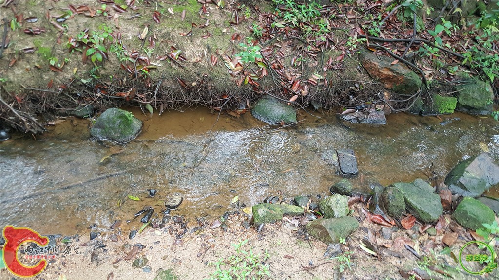 20160313_141622.jpg