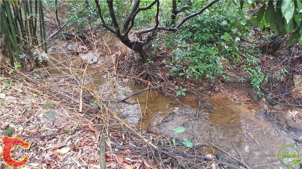 20160313_141625.jpg