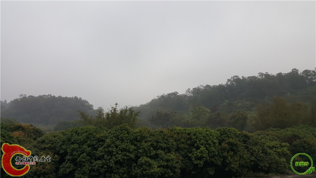 20160313_143907.jpg