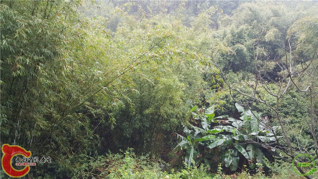 20160313_150843.jpg