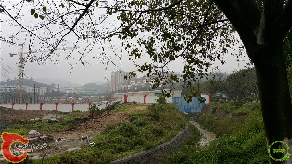 20160313_151716.jpg