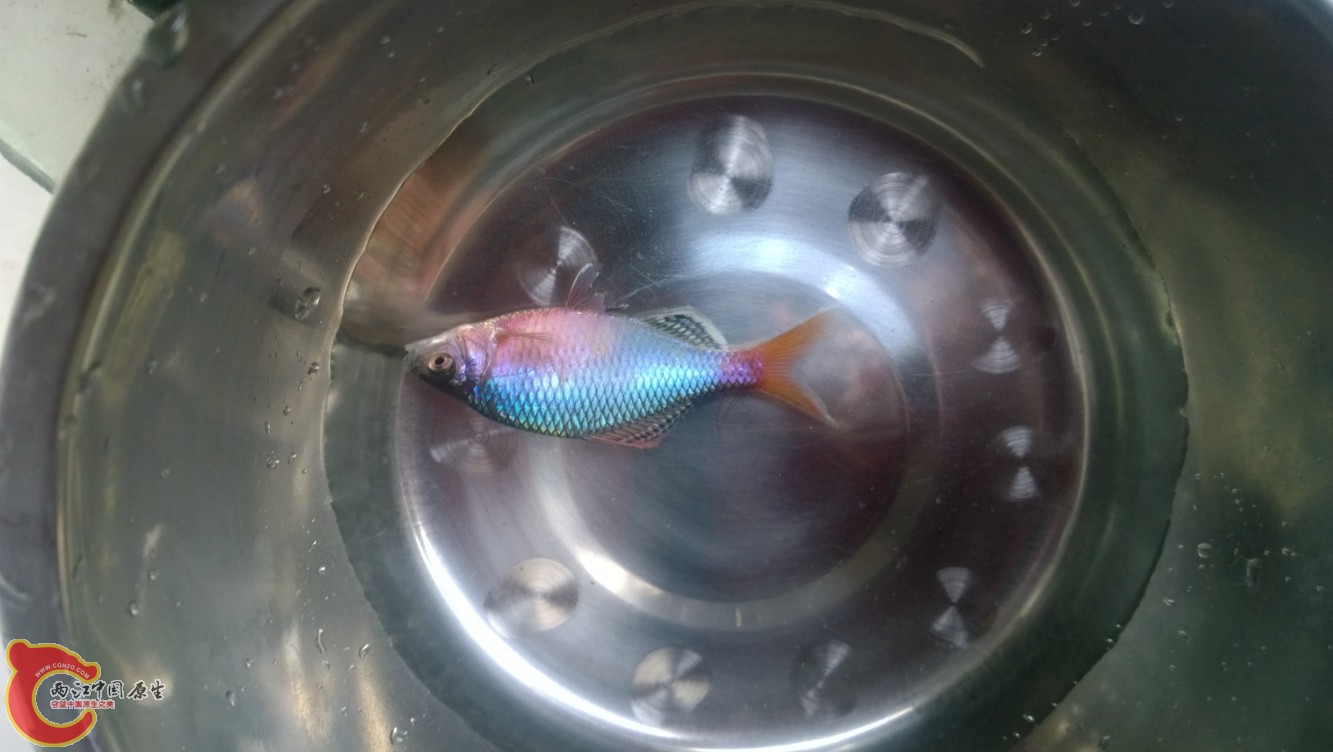 }53HGI9R~DTAUMTJD@V`ODW - 副本.jpg