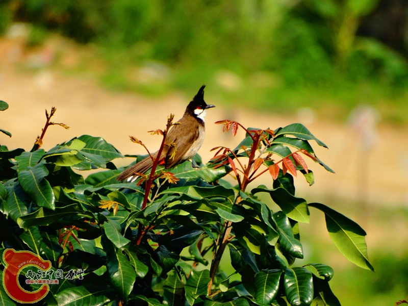 DSC02323.JPG