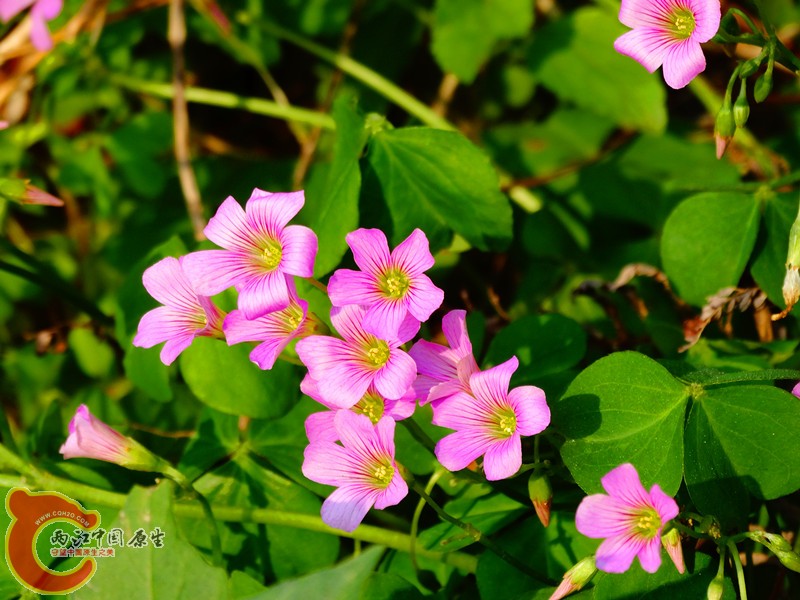DSC02328.JPG
