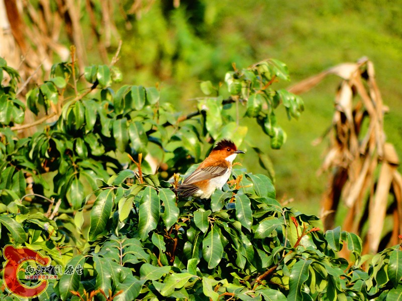 DSC02342.JPG