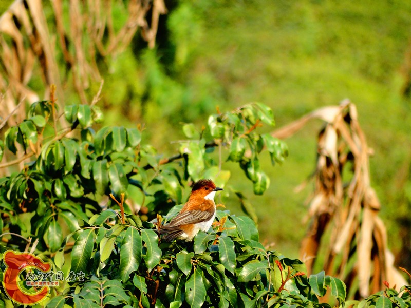 DSC02343.JPG
