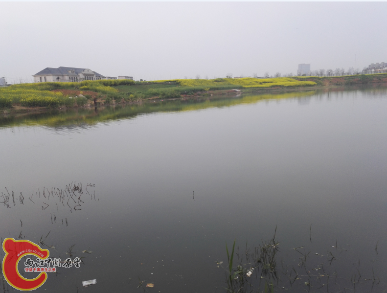 QQ截图20160401203227.png