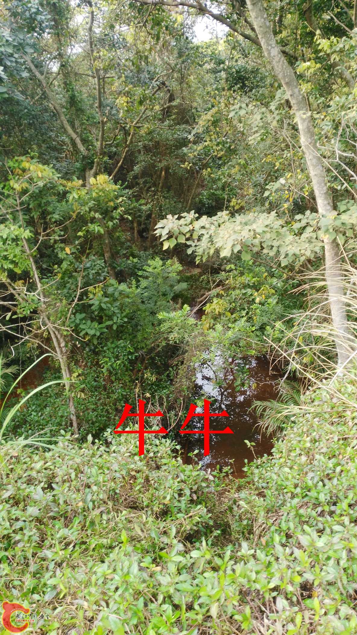 IMG_20160402_155857.jpg