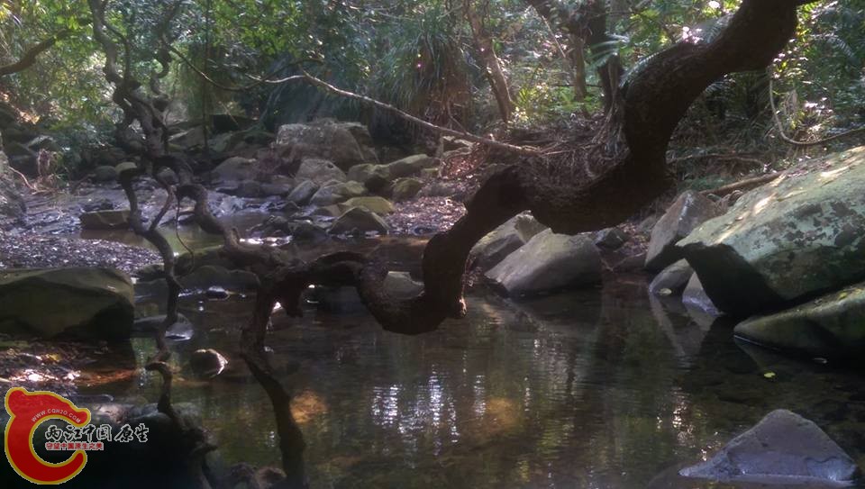 很有野性的地方