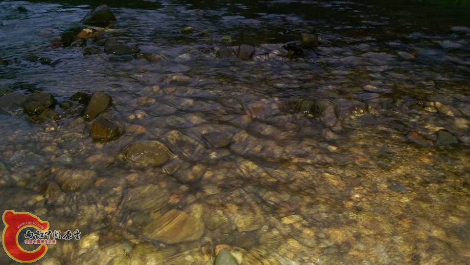 裸身蝦虎的棲地