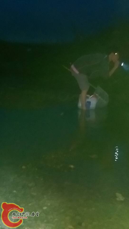 第一天的夜間觀察與採集