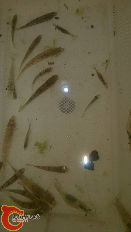 第二階段的收穫