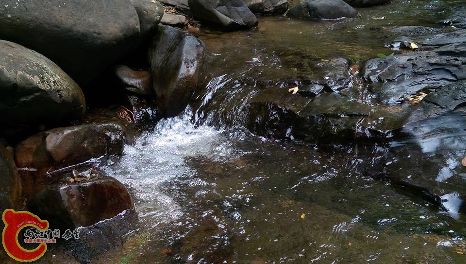 細紋沼蝦的棲息處