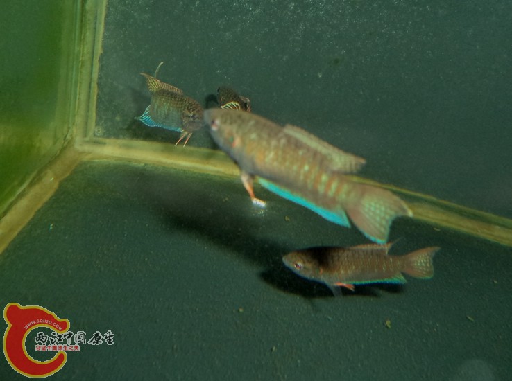 DSC03354.JPG