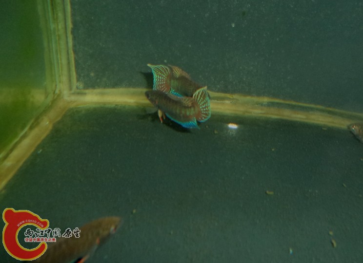 DSC03359.JPG