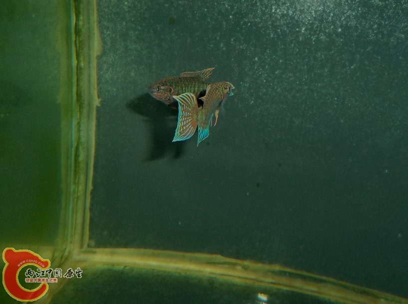 DSC03364.JPG