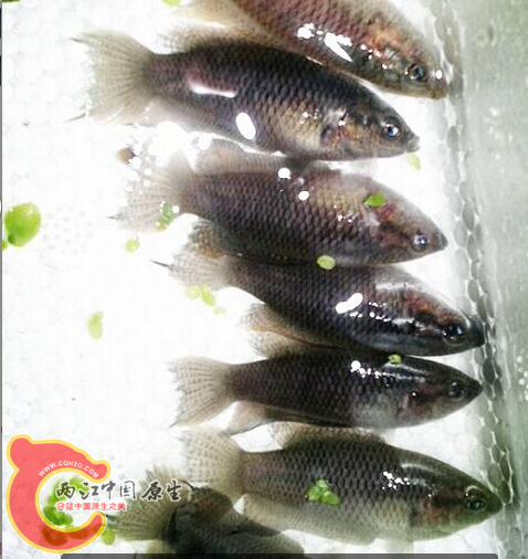 QQ图片20160407111837.png