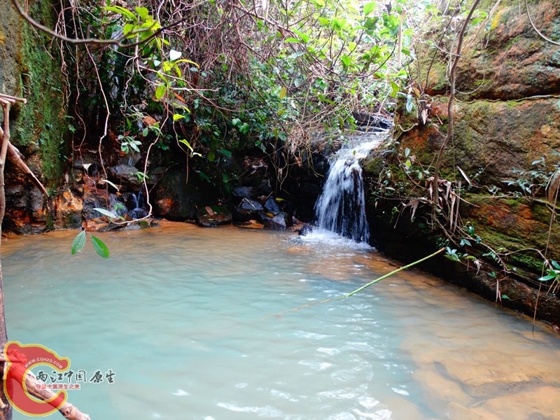 DSC02373.JPG