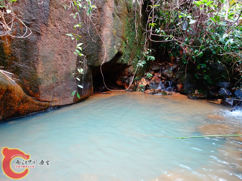 DSC02374.JPG