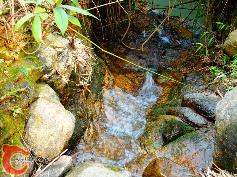 DSC02378.JPG